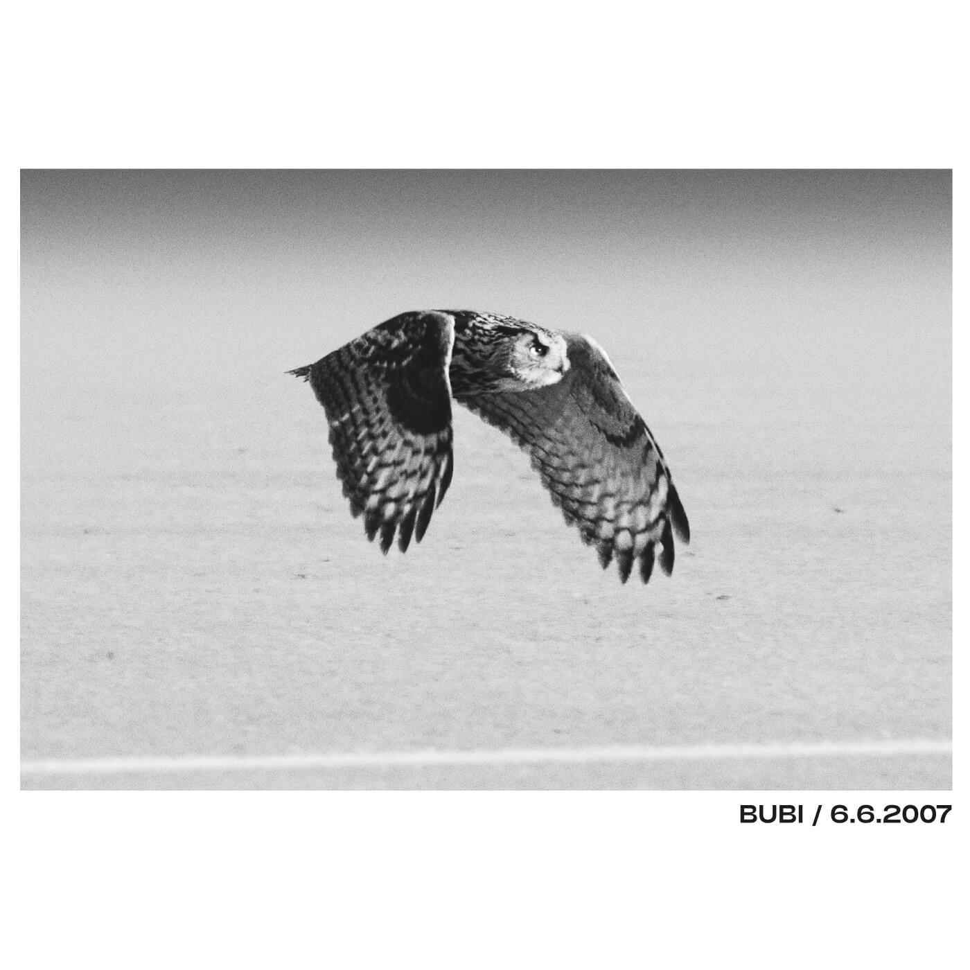 Bubi Flies T-shirt