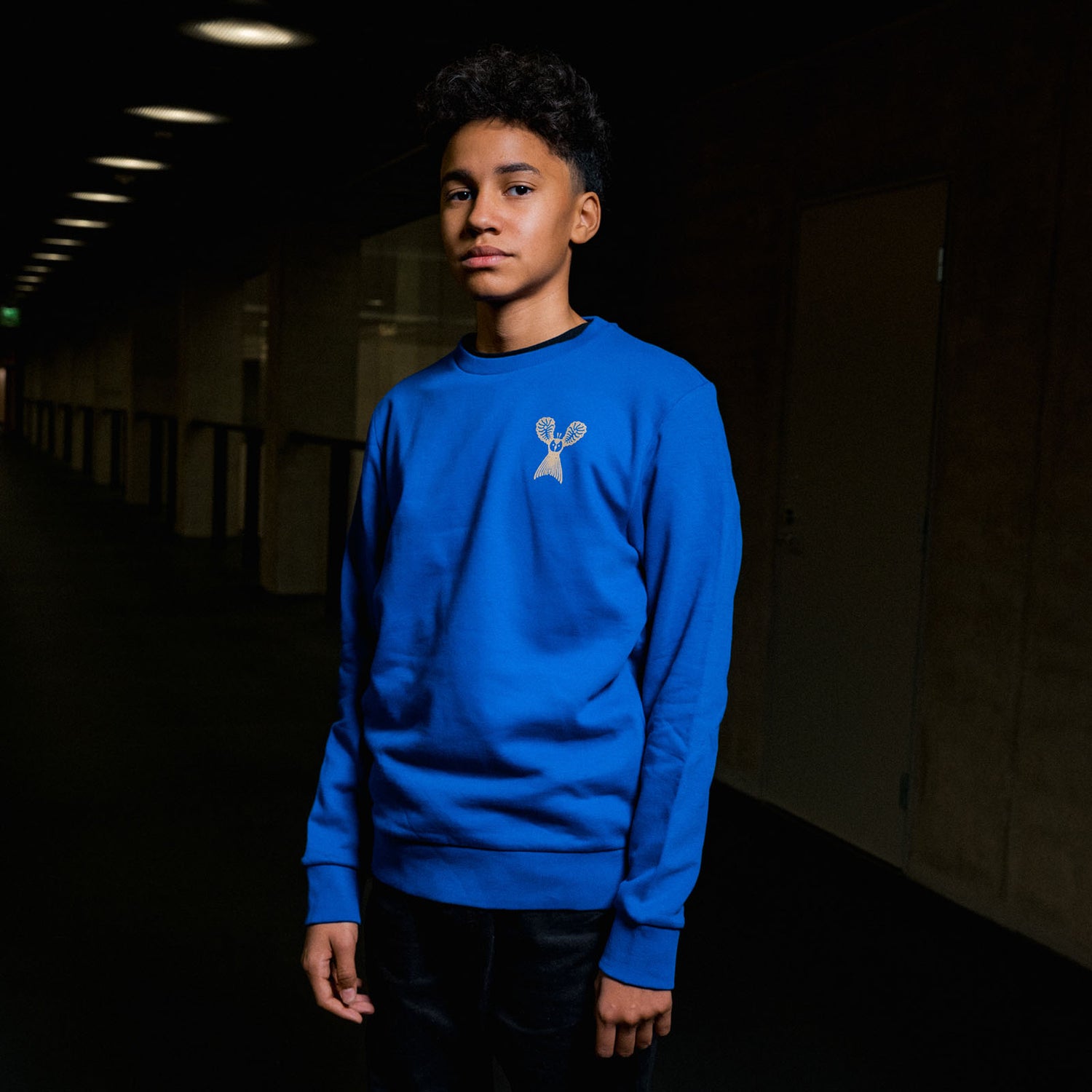 Pieni pöllö by Klaus Haapaniemi College, Sininen